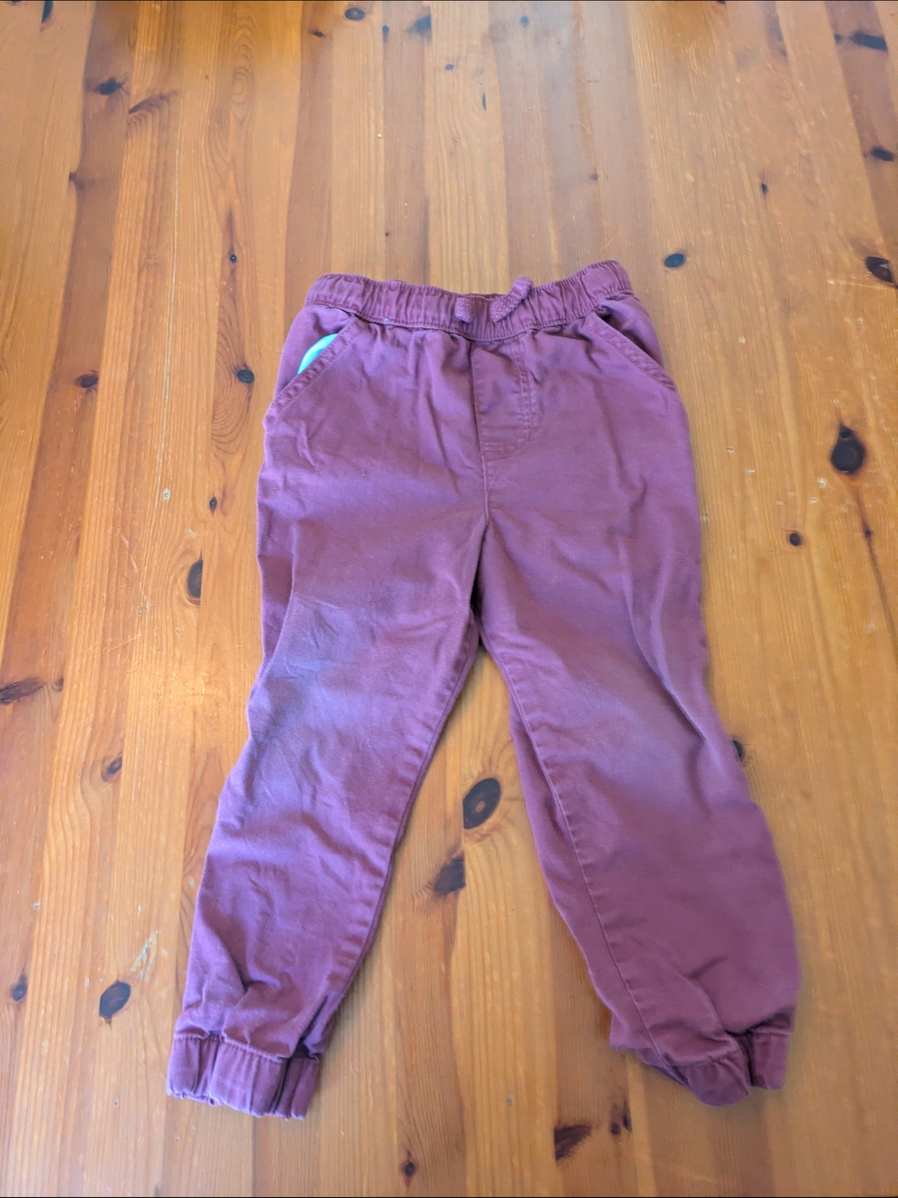 Garanimals Kids Maroon Pants